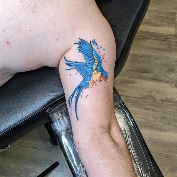 Barn Swallow Tattoo