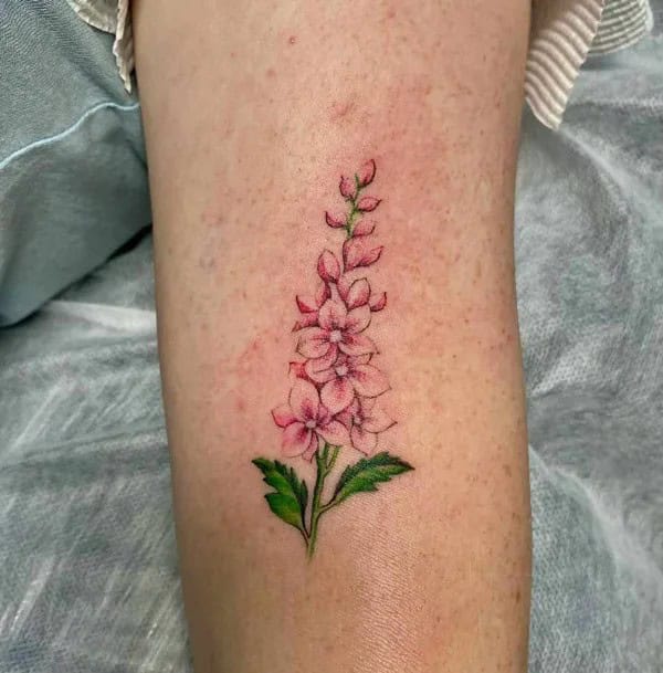 Pink Larkspur Tattoo