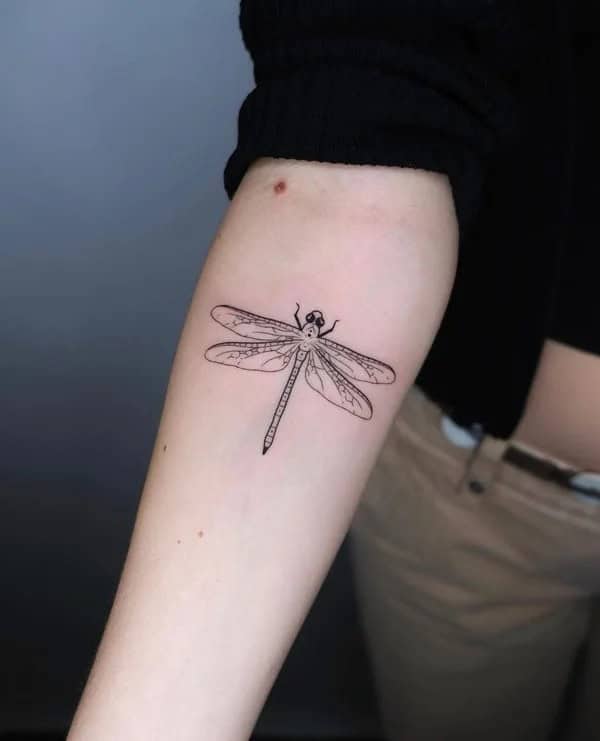 More Sublime Entries Of Dragonfly Tattoos